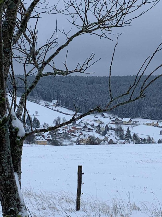 Villa Berghaus Carlsfeld Eibenstock Esterno foto