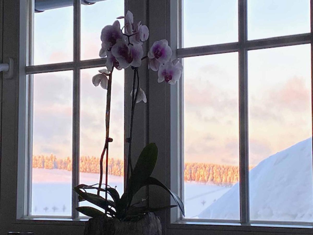Villa Berghaus Carlsfeld Eibenstock Esterno foto