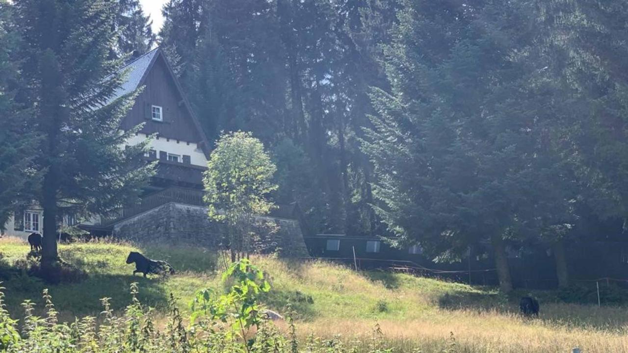 Villa Berghaus Carlsfeld Eibenstock Esterno foto